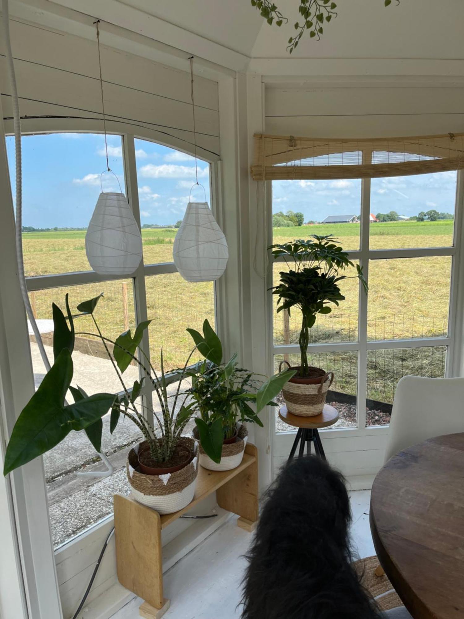 Bed and Breakfast By Mosk Engelum Exteriér fotografie